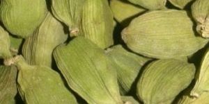 Green Cardamom