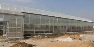 Green House Construction Services