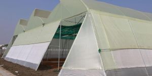 Green House Division-