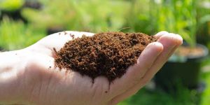 Coco Peat