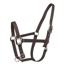 Nylon Halters
