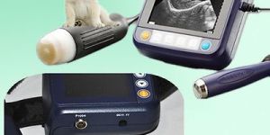 Veterinary Portable Wrist Ultrasound Scanner