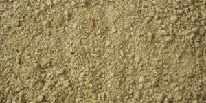Soybean Meal