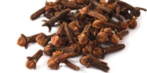 Syzygium Aromaticum (Cloves)