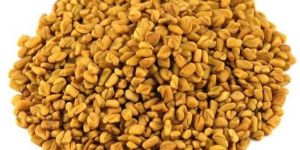 Fenugreek Seeds