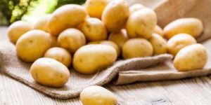 Fresh Potato