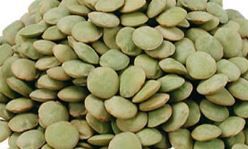 Green Lentils