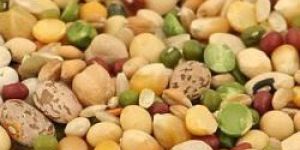 Organic Pulses