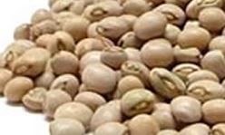 Pigeon Peas