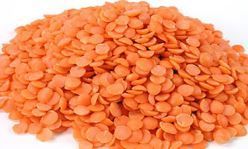 Red Lentils
