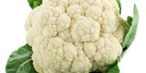 Fresh Cauliflower