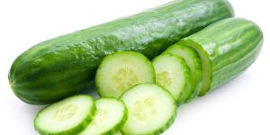 Fresh Cucumber