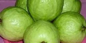 Fresh Guava