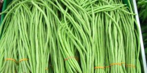 Fresh Long Beans