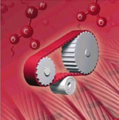 Variable Speed Belts