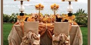 Chair Covers
