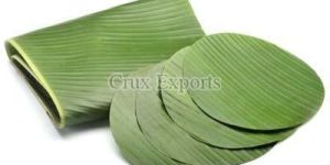 Banana Leaves