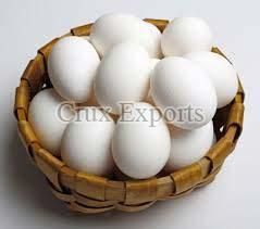 White Chicken Eggs