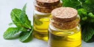 Mentha Oil