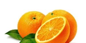 Orange Essential Oils