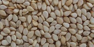 Sesame Seeds