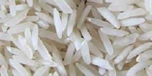 Sugandha White Rice