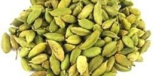 Mouth Fresheners Essence