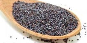 Poppy Seeds