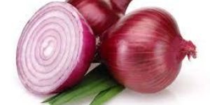 Fresh Red Onion
