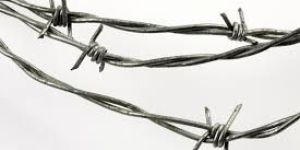 Barbed Wire
