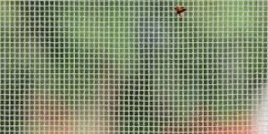 Mosquito Mesh