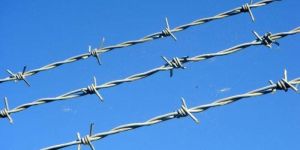 Barbed Wires