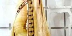 Designer Sarees