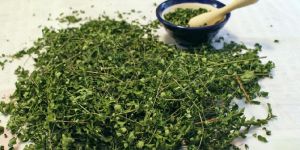 Dried Moringa Leaves