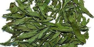 Dried Stevia Leaves