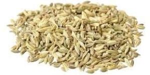 Saunf Dry Extract