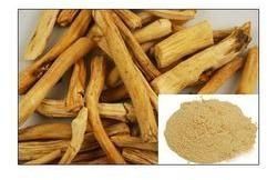 Shatavari Dry Extract