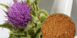 Silymarin Dry Extract