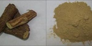 Yashtimadhu Dry Extract