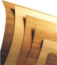 Veneer Wood