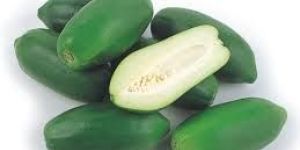 Fresh Green Papaya