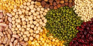 Indian Pulses