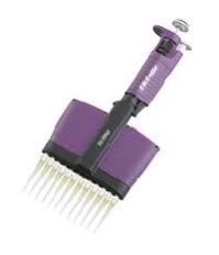 Multichannel Pipette