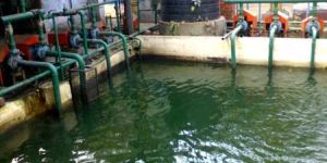 Effluent Treatment Plant