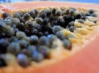 Papaya Seed