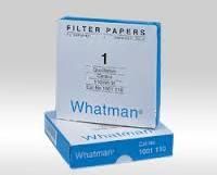 Whatman