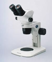 Stereoscopic Microscopes