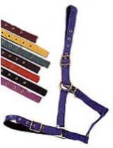 PP Headstalls