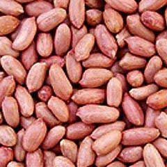 Groundnuts
