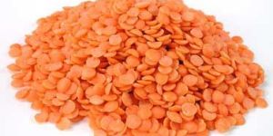 Red Lentil